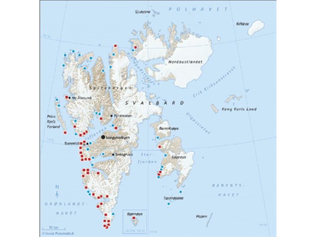 Шпицберген-Свальбард-Грумант: проблема первооткрытия архипелага русскими Шпицберген-Свальбард-Грумант: проблема первооткрытия архипелага русскими история