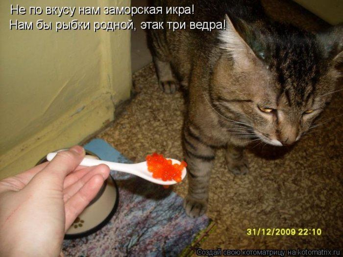 Мысли вслух :)