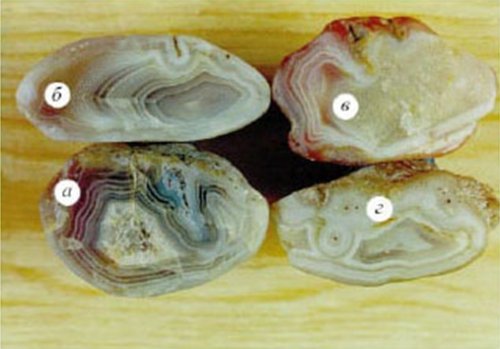 ОТКРЫТИЕ КРЕМНИЕВОЙ ФОРМЫ ЖИЗНИ  НА ЗЕМЛЕ  