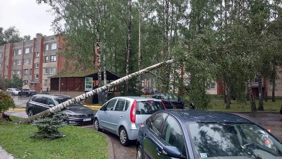 Латвию настигло стихийное бедствие