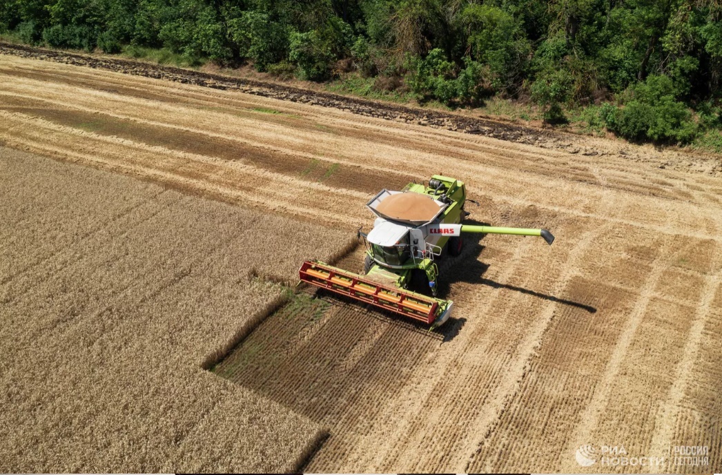 Рублевый переход. Россия меняет порядок расчетов за стратегическое сырье