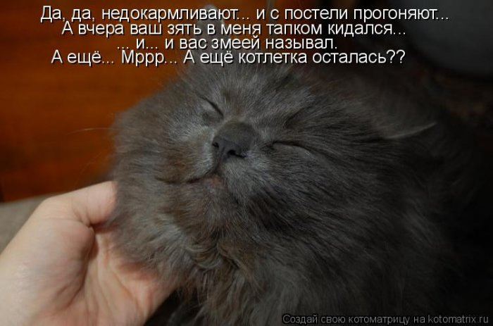 Мысли вслух :)