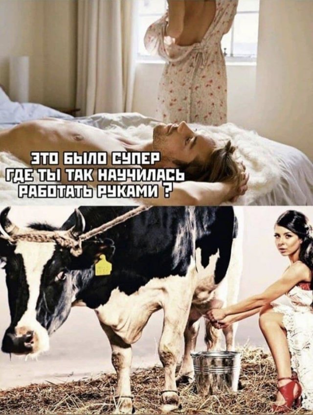 Шутки и мемы из Сети Шутки и мемы из Сети позитив,смешные картинки,юмор