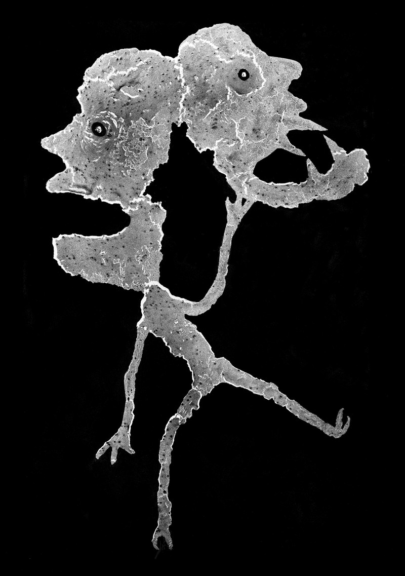 «Запределье» южноафриканского фотографа Роджера Баллена «Запределье» южноафриканского фотографа Роджера Баллена Фотография