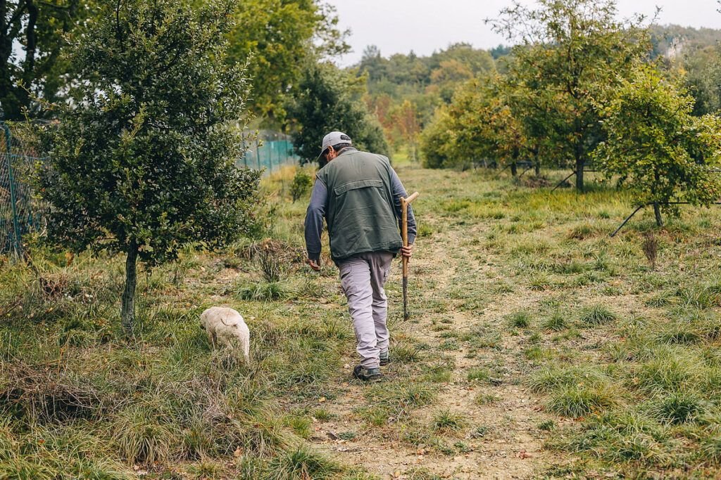 Тартюфайо — охотник за трюфелями с натренированной собакой/ © tartufi.ru