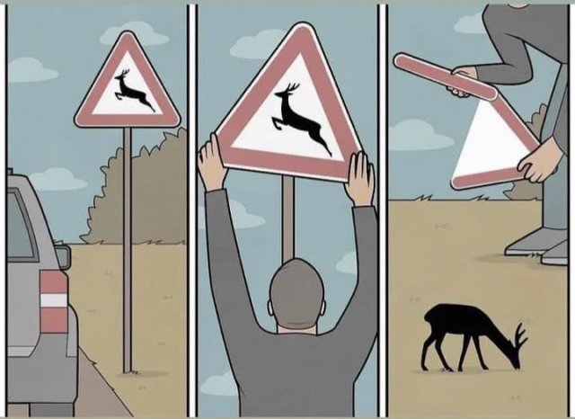 Лучшие шутки и мемы из Сети