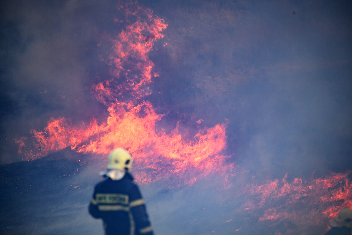 На Куршской косе в Калининградской области произошел мощный пожар