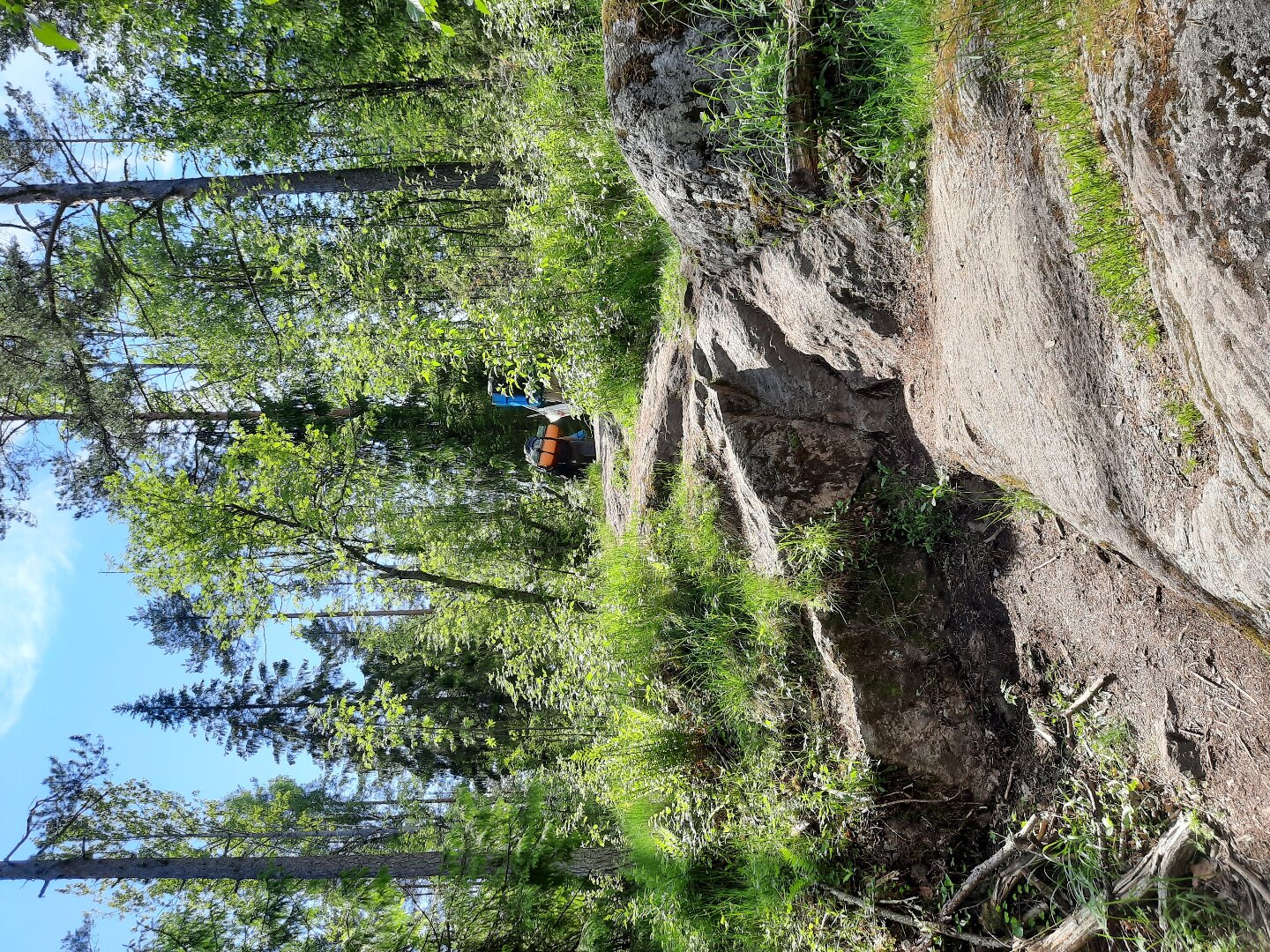 Дорога к дальнему водопаду. Дорога к дальнему водопаду.