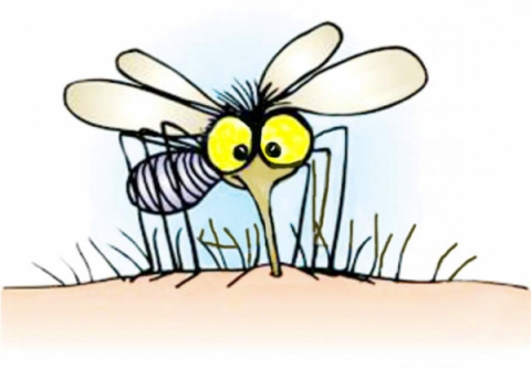 Как устранить зуд и отек от комариных укусов