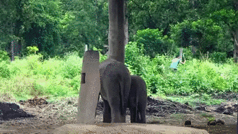 Подборка гифок Подборка гифок смешные картинки
