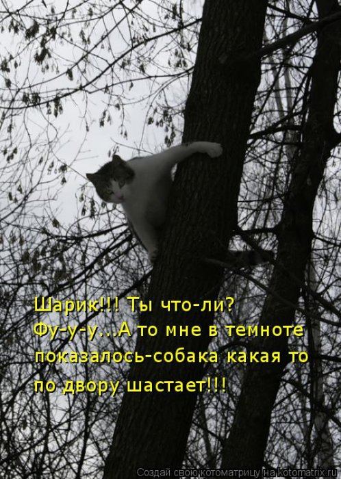 Мысли вслух :)