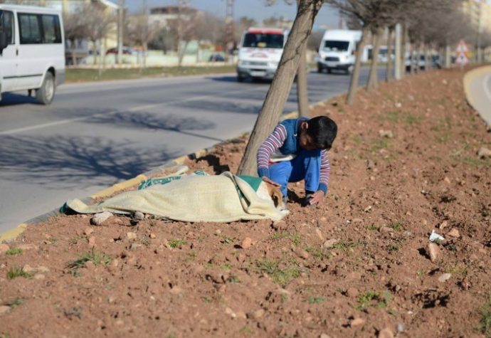 02-refugee-comforts-stray-dog-710x489