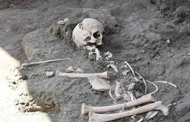 В Италии нашли кобылу - ровесницу Христа археологи, археология, древние артефакты, история, наука, помпеи, раскопки, ученые