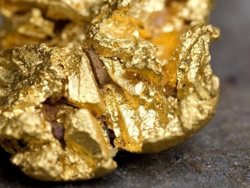 Житель Могочинского района незаконно добывал золото в лесу