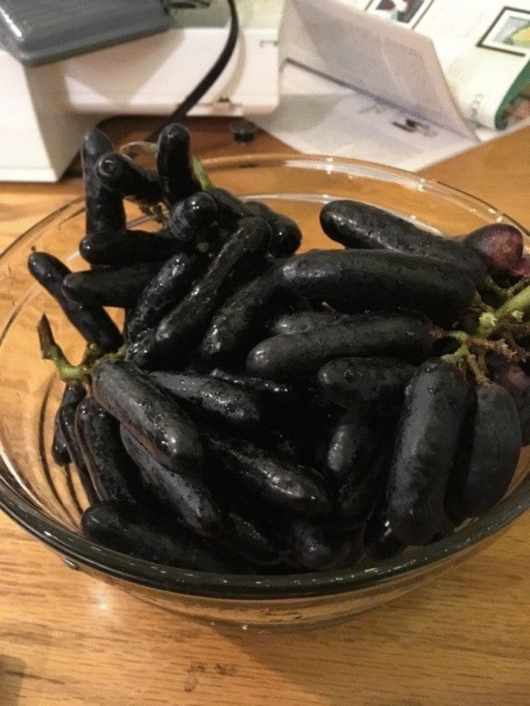 25 фото, после просмотра которых вы скажете: «Теперь я точно видел все» 25 фото, после просмотра которых вы скажете: «Теперь я точно видел все»