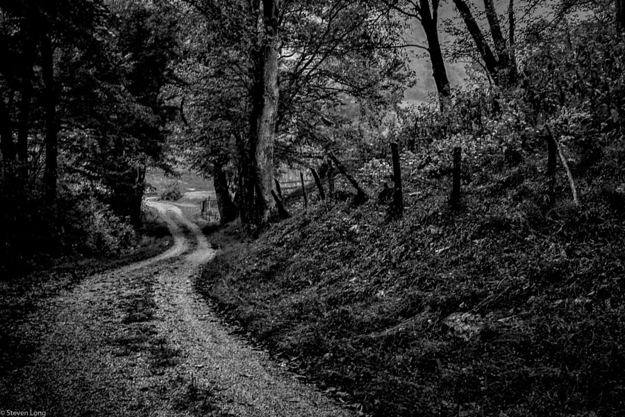 Deep in the Hollows by Steven Long on 500px.com