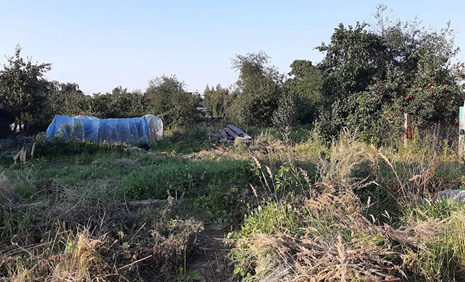 Белорусы решили вместо квартиры построить дачу прямо в городе: настолько понравилось, что потом переехали насовсем Культура