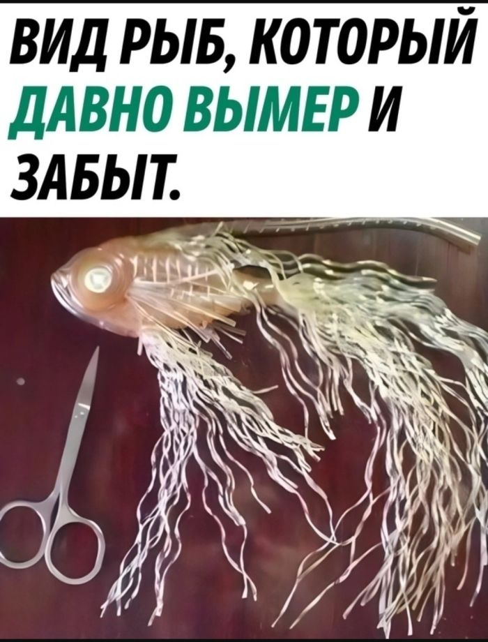 Долбаные холода. Скорее бы жара долбаная! 