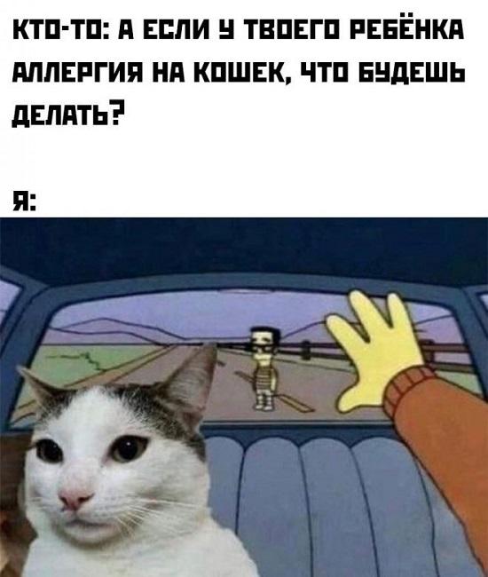 Лучшие шутки для хорошего настроения Лучшие шутки для хорошего настроения