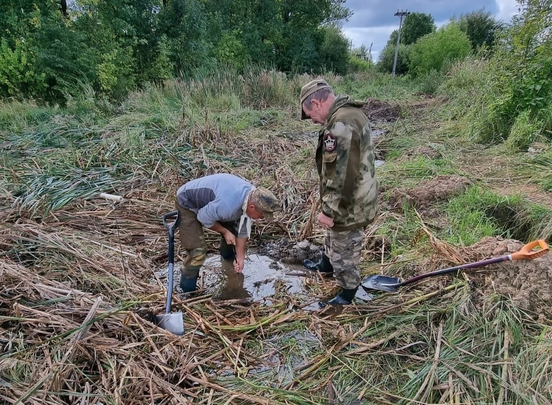 В Ржевском районе поисковики обнаружили останки бойцов и командиров Красной армии