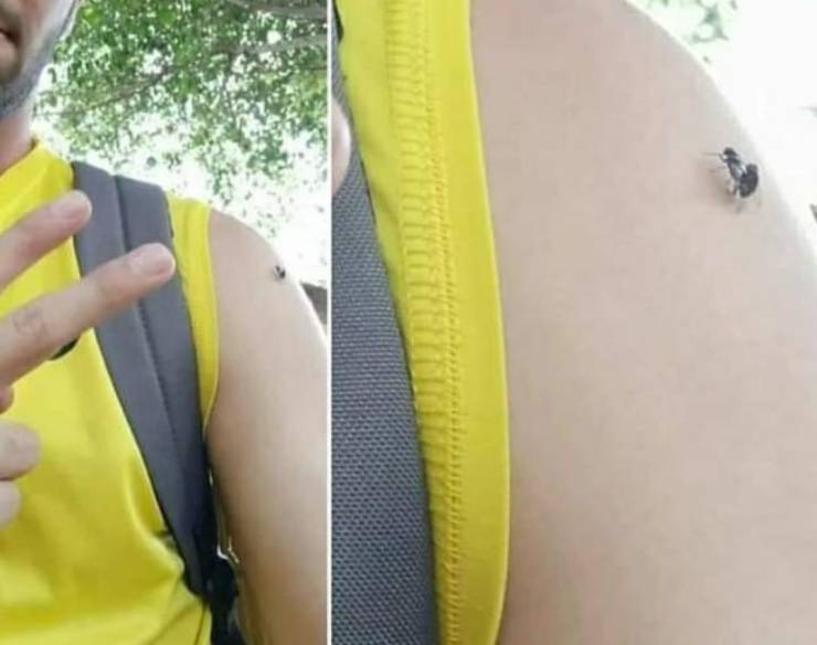 Подборка прикольных картинок Подборка прикольных картинок приколы,смешные картинки,юмор