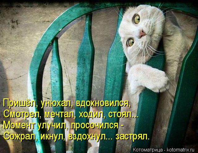 Котоматрица: Пришёл, унюхал, вдохновился, Смотрел, мечтал, ходил, стоял... Момент улучил, просочился - Сожрал, икнул, вздохнул... застрял.