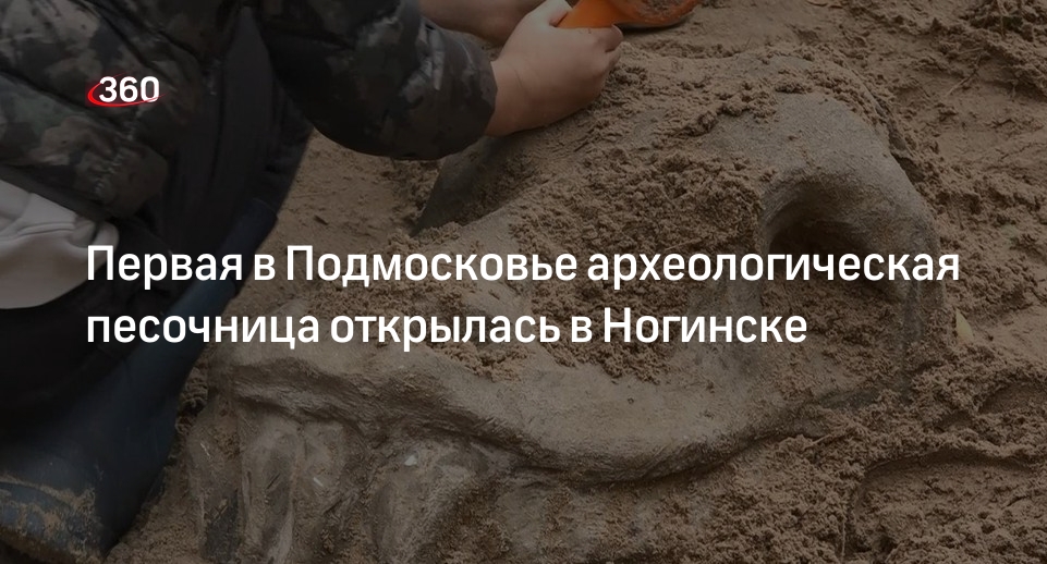 Первая в Подмосковье археологическая песочница открылась в Ногинске