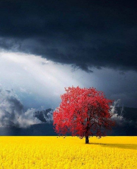 Мегапозитивная подборка дня Мегапозитивная подборка дня