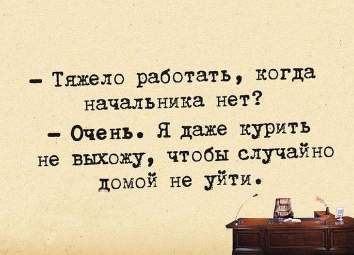 Реально смешные истории от пользователей Интернета – для вашей улыбки Несколько, живется, заряжайтесь, анекдоты, скорее, компанииЧитайте, пошутить, повеселиться, улыбнуться, возможность, легче, исследованияВсем, хороших, проводить, нужно, этого, подтверждения, жизнь, продлить, способен