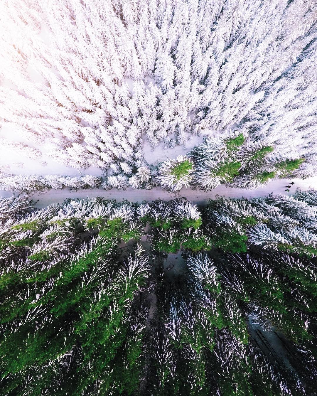 Карпаты с высоты Карпаты с высоты