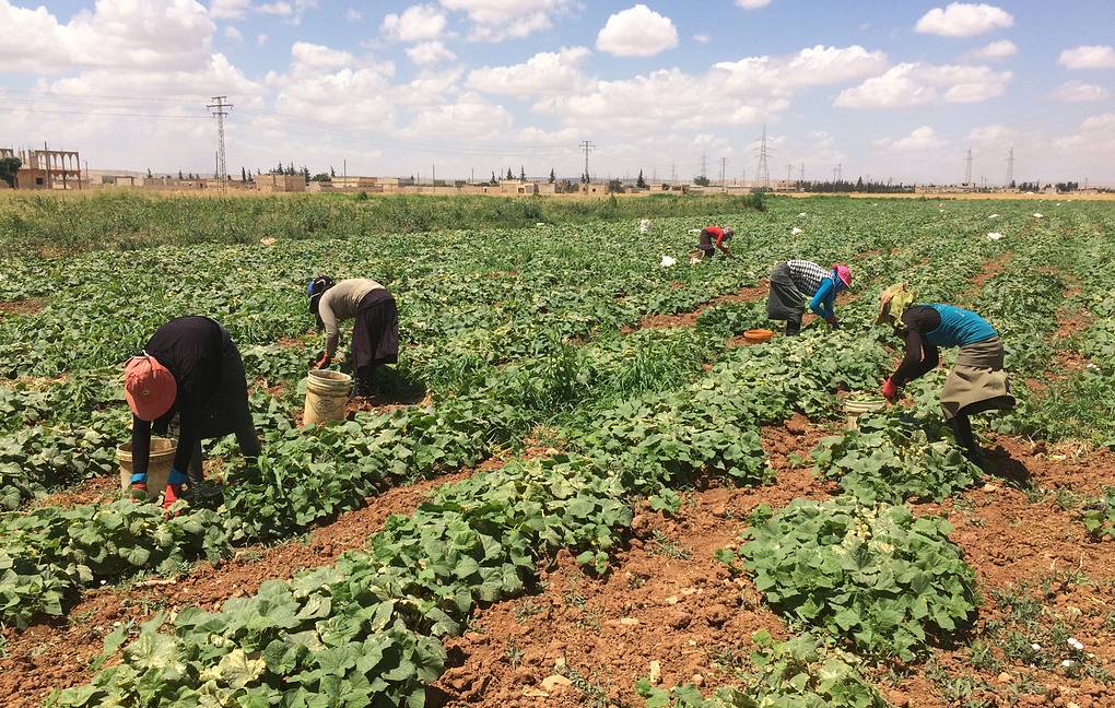 Последние новости Сирии. Сегодня 29 сентября 2019 сирия