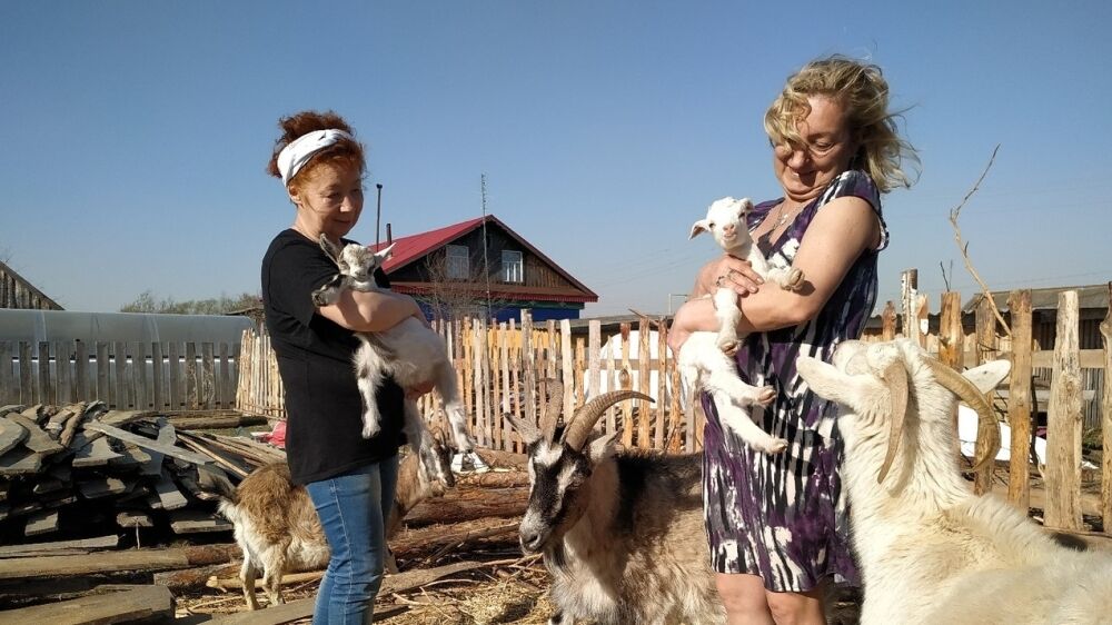 «На дойку как на войну»: Жительница Мордовии поделилась секретами сыроварения