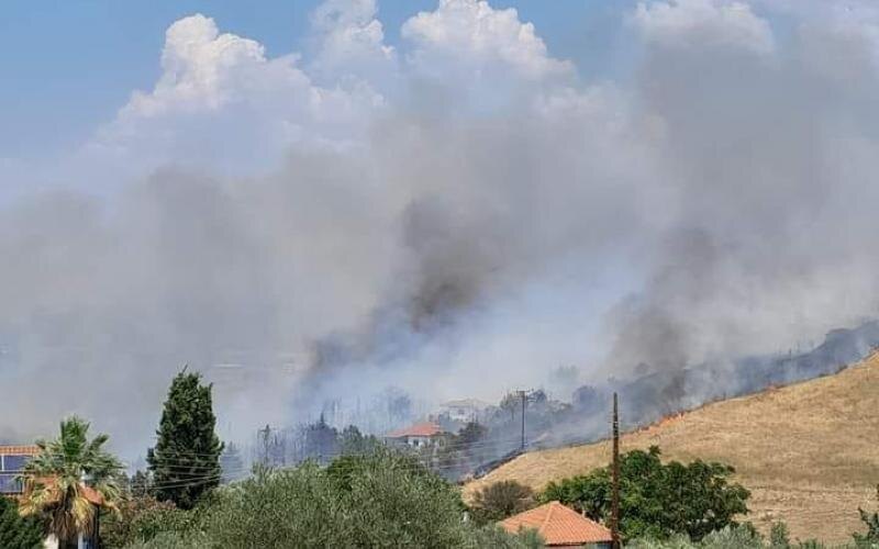 Лесной пожар на севере Греции: деревня Трилофо в муниципалитете Терми (рядом с Салониками) повредил 6 домов. Это третий крупный очаг в Терми за пару дней. Фото: 18 июля