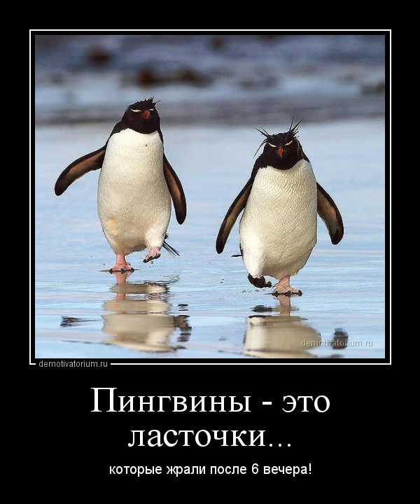 Русские пережили Батыя и Чубайса, поэтому никакие санкции им не страшны Русские пережили Батыя и Чубайса, поэтому никакие санкции им не страшны спрашивает, плохо, джентльмена, вышла, попадется, здоровья, между, сейчас, телефону, сынок, когда, перед, лучше, денег, мужик, шестого, глаза, нетОдин, никто, верблюд