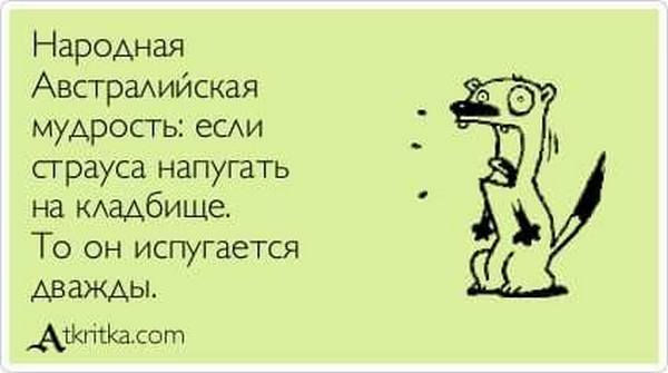 Американцы знают, что в Израиль ехать нельзя — там опасно... весёлые