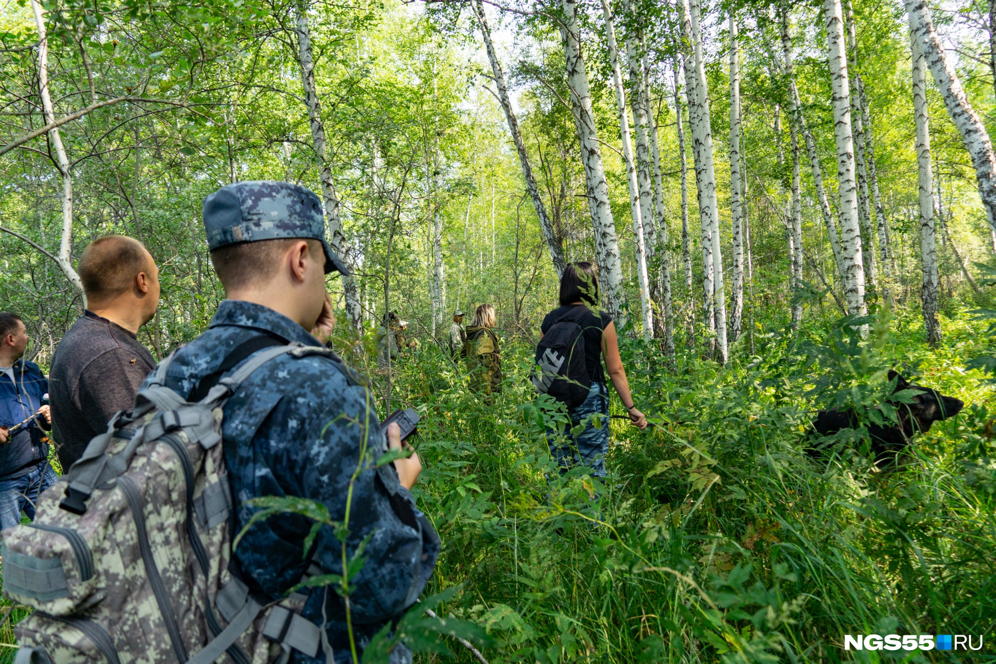 Потерянные родители. Поисковик Лиза Алерт в лесу. Поисковый отряд в лесу. Пропавшие Омская область.