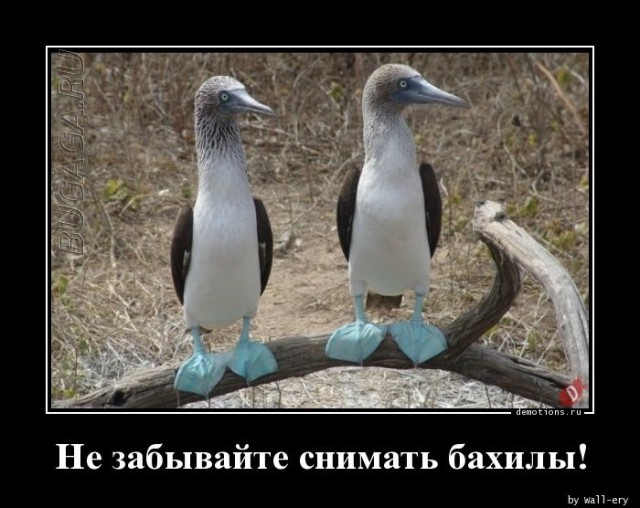 Демотиваторы для хорошего настроения: «От создателей…» Демотиваторы для хорошего настроения: «От создателей…»