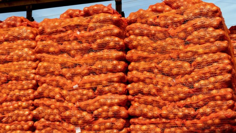 Правительство Кыргызстана досрочно сняло запрет на вывоз лука