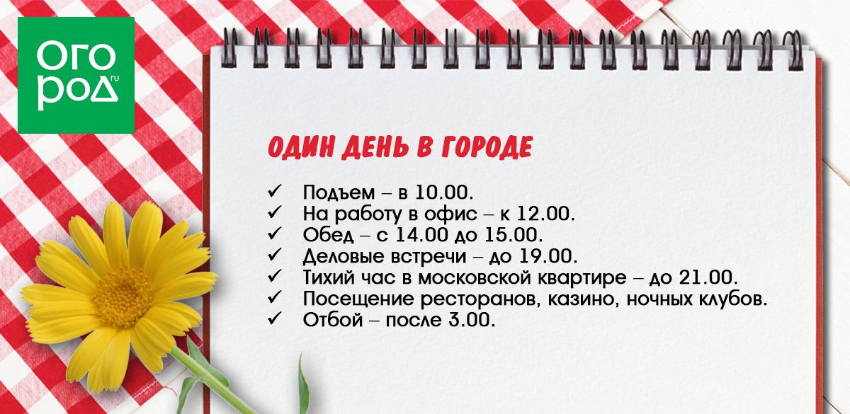 Один день в городе 