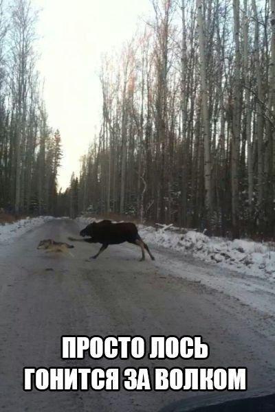 Лучшие шутки для хорошего настроения Лучшие шутки для хорошего настроения