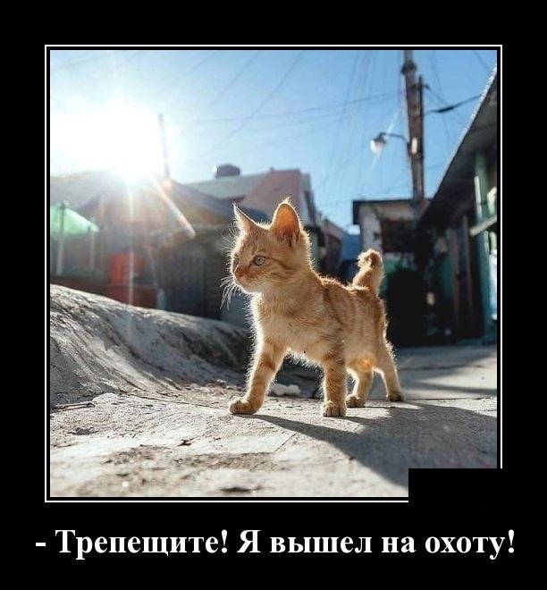 Демотиваторы 19 марта 2019 Демотиваторы 19 марта 2019