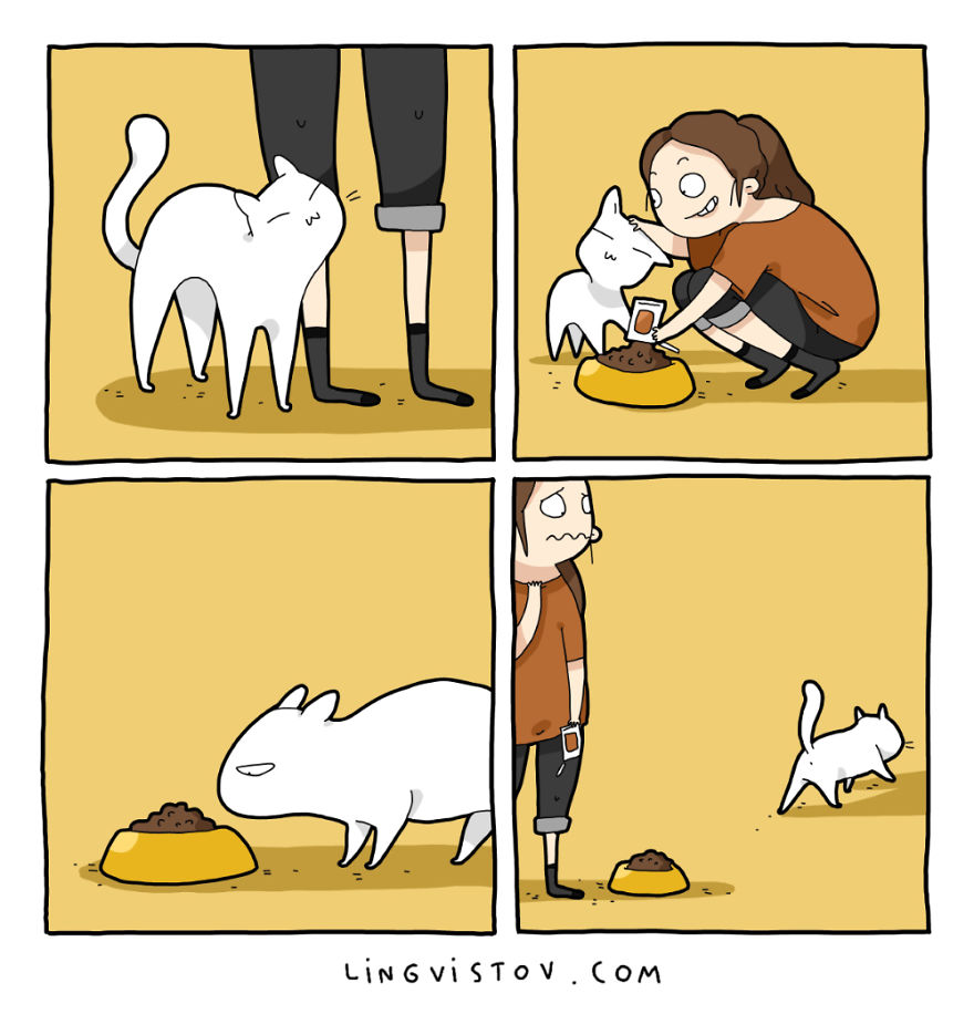 18-komiksov-kotorye-pokazhut-chto-znachit-zhit-s-koshkoj_009