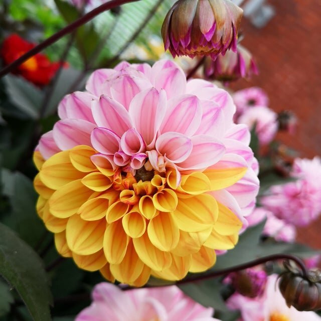 Идеально до безобразия: 25 фото, которые порадуют перфекционистов Идеально до безобразия: 25 фото, которые порадуют перфекционистов