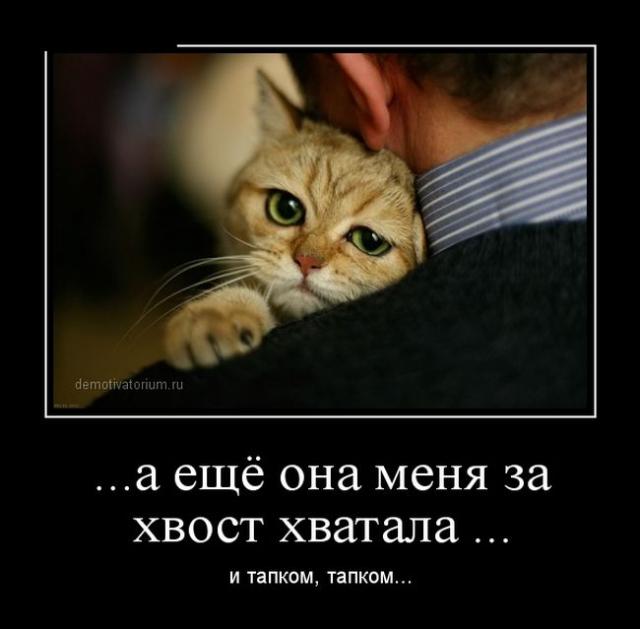 Ржачные и зачетные демотиваторы для поднятия настроения из нашей жизни (11 фото) Ржачные и зачетные демотиваторы для поднятия настроения из нашей жизни (11 фото)