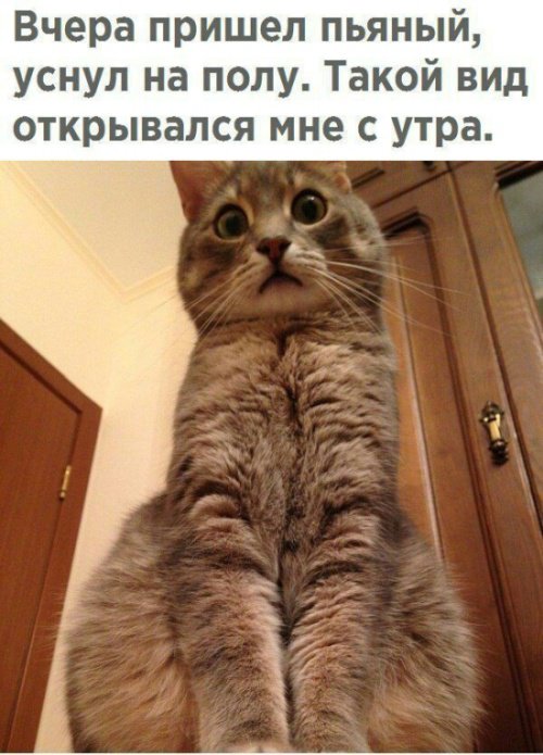 Фотоподборка четверга Фотоподборка четверга