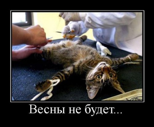 Смешные и классные демотиваторы про весну 