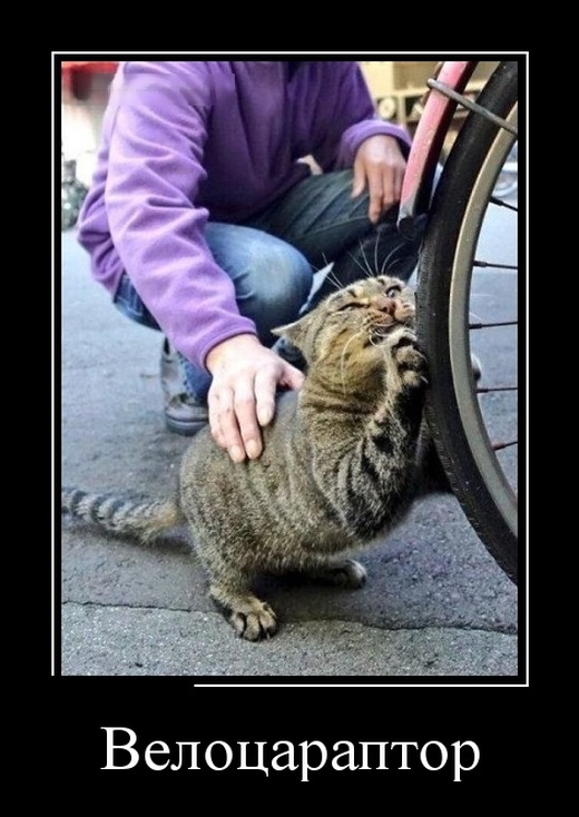 Демотиваторы 19 марта 2019 Демотиваторы 19 марта 2019