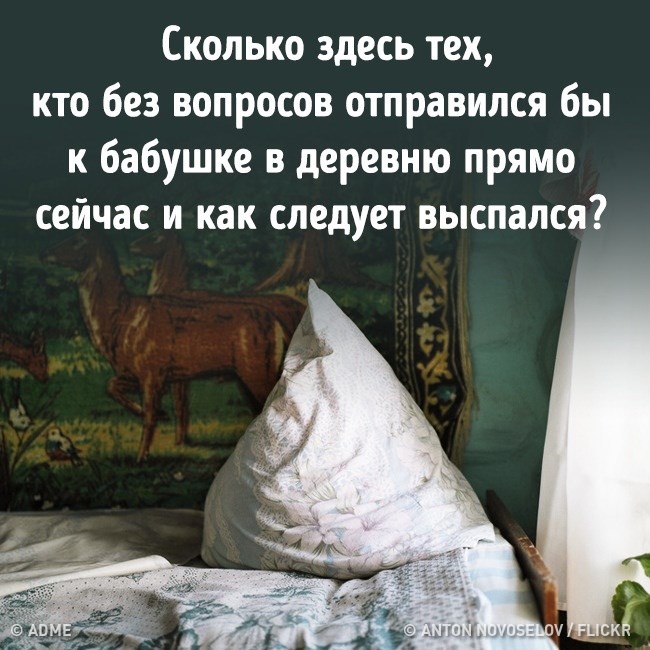 Что такое сила тока? Это когда ума нет, а есть тока сила Что такое сила тока? Это когда ума нет, а есть тока сила анекдоты,веселые картинки,приколы,юмор