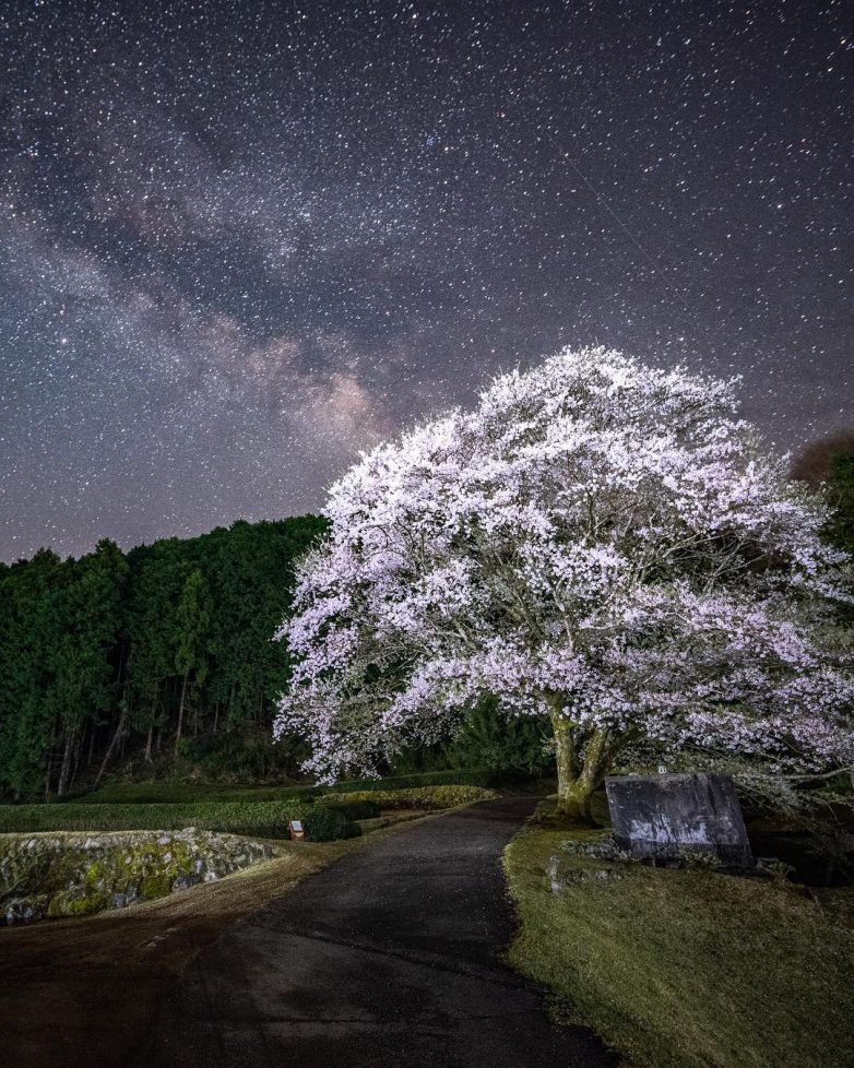 Япония: страна, которой невозможно налюбоваться Япония: страна, которой невозможно налюбоваться мир,страны,туризм,япония