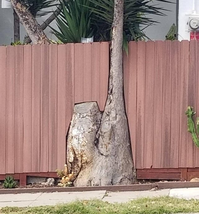 Фотоподборка субботы  Юмор смех шутки анекдоты без границ